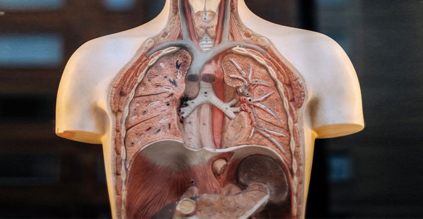 Ez történik a testeddel, ha 5%-ot leadsz a súlyodból