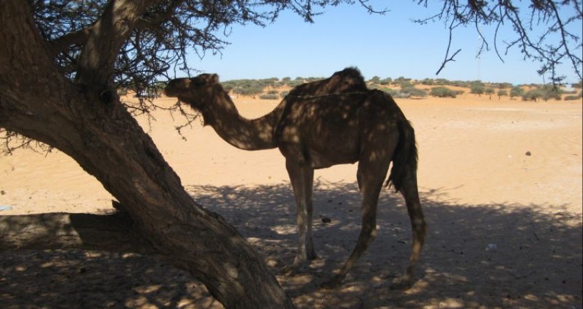 Fontos tudnivalók a folyadékpótlásról